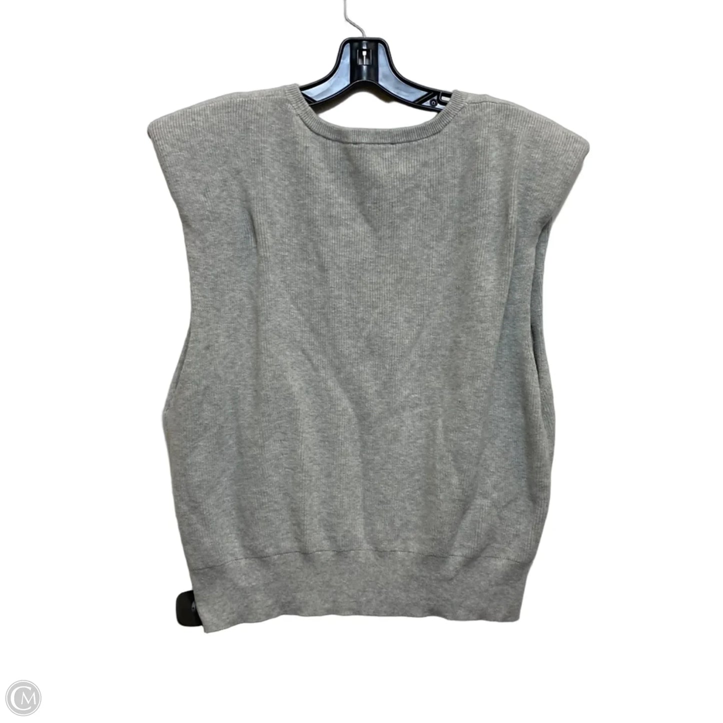 Top Sleeveless By Express In Grey, Size: L