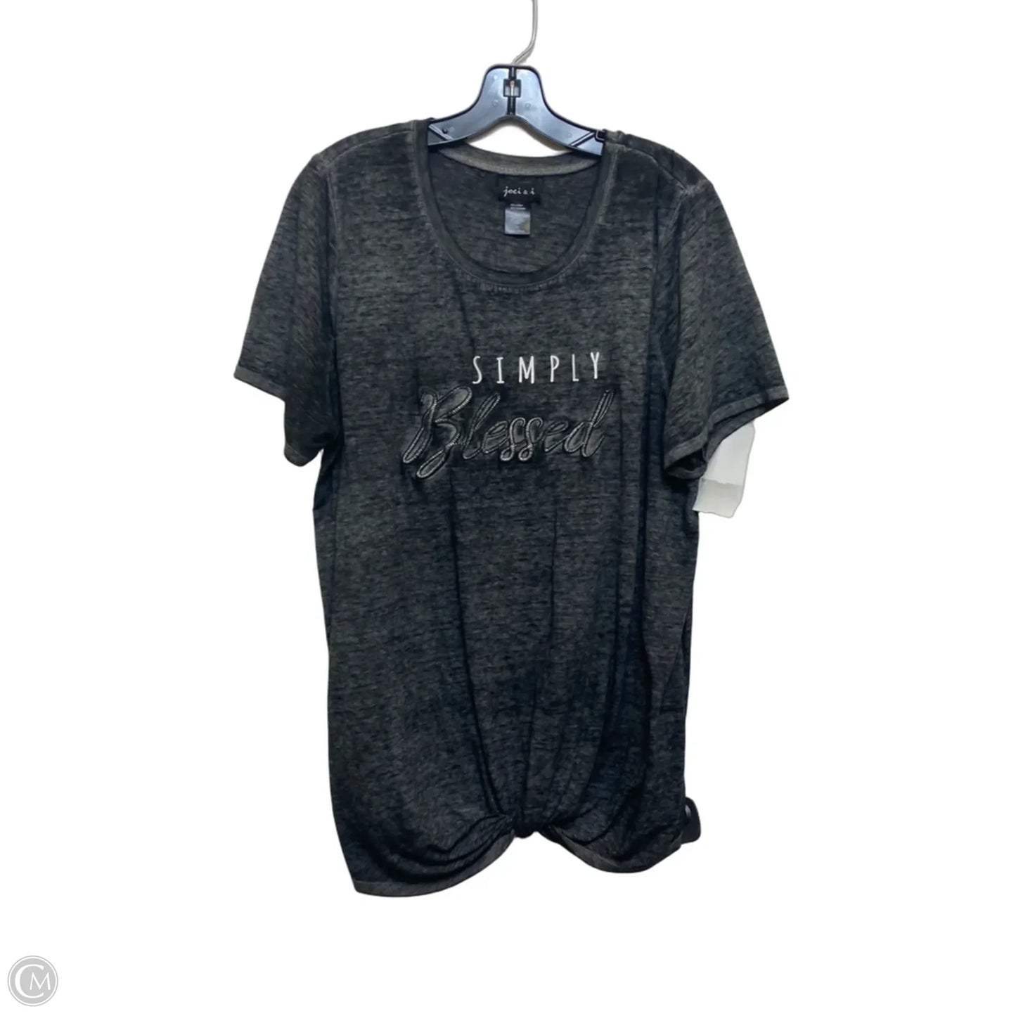 Top Short Sleeve By Joei & I In Grey, Size: 2x
