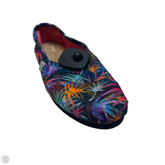Shoes Flats By Toms In Multi-colored, Size: 7