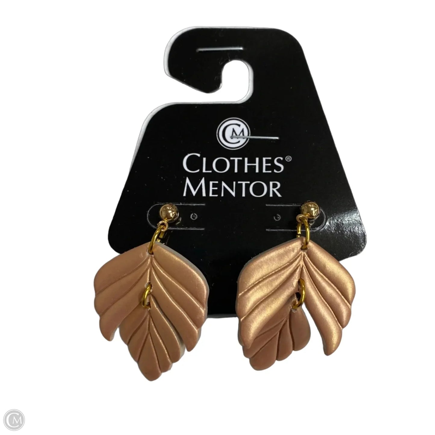 Earrings Dangle/drop By Clothes Mentor