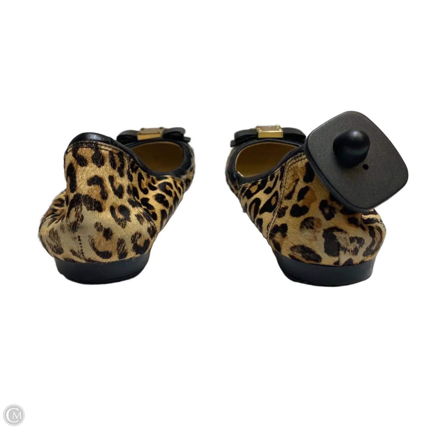 Shoes Designer By Cole-haan In Animal Print, Size: 9