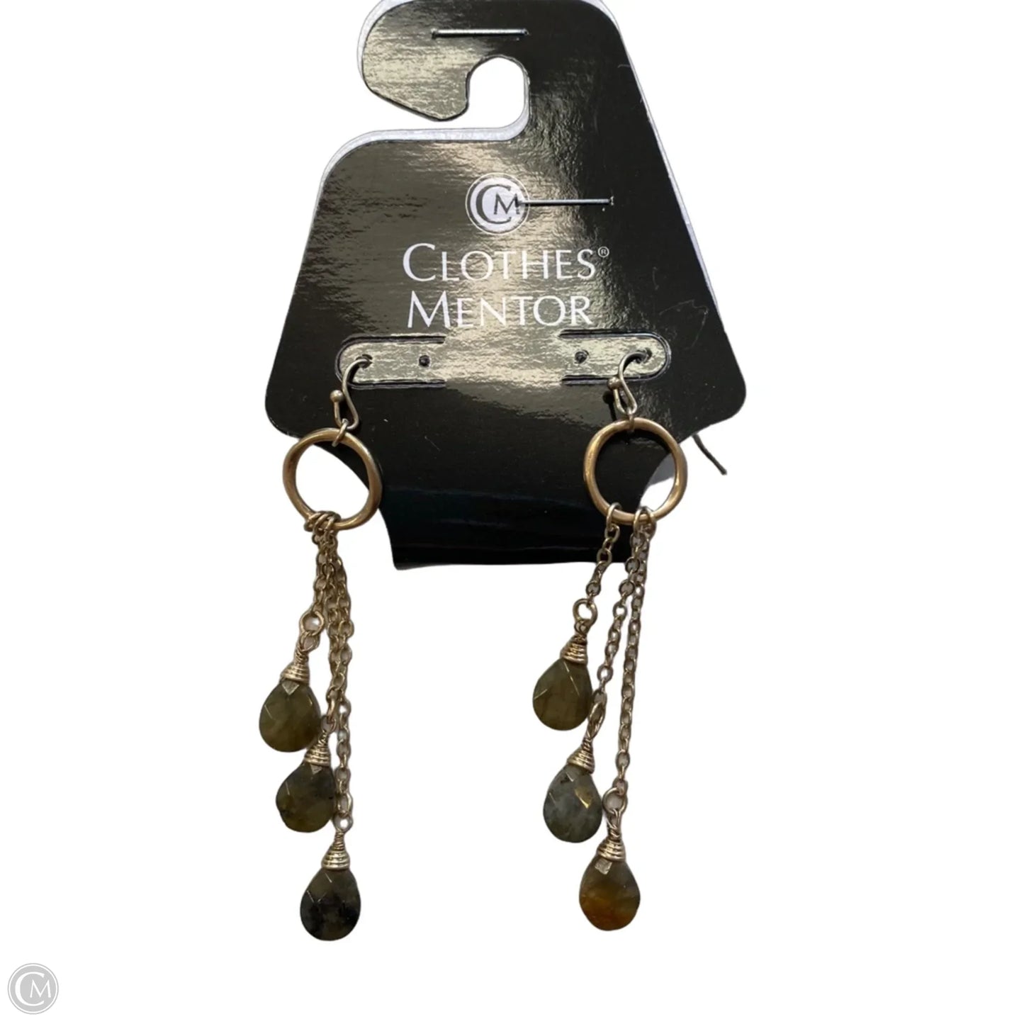 Earrings Dangle/drop By Clothes Mentor