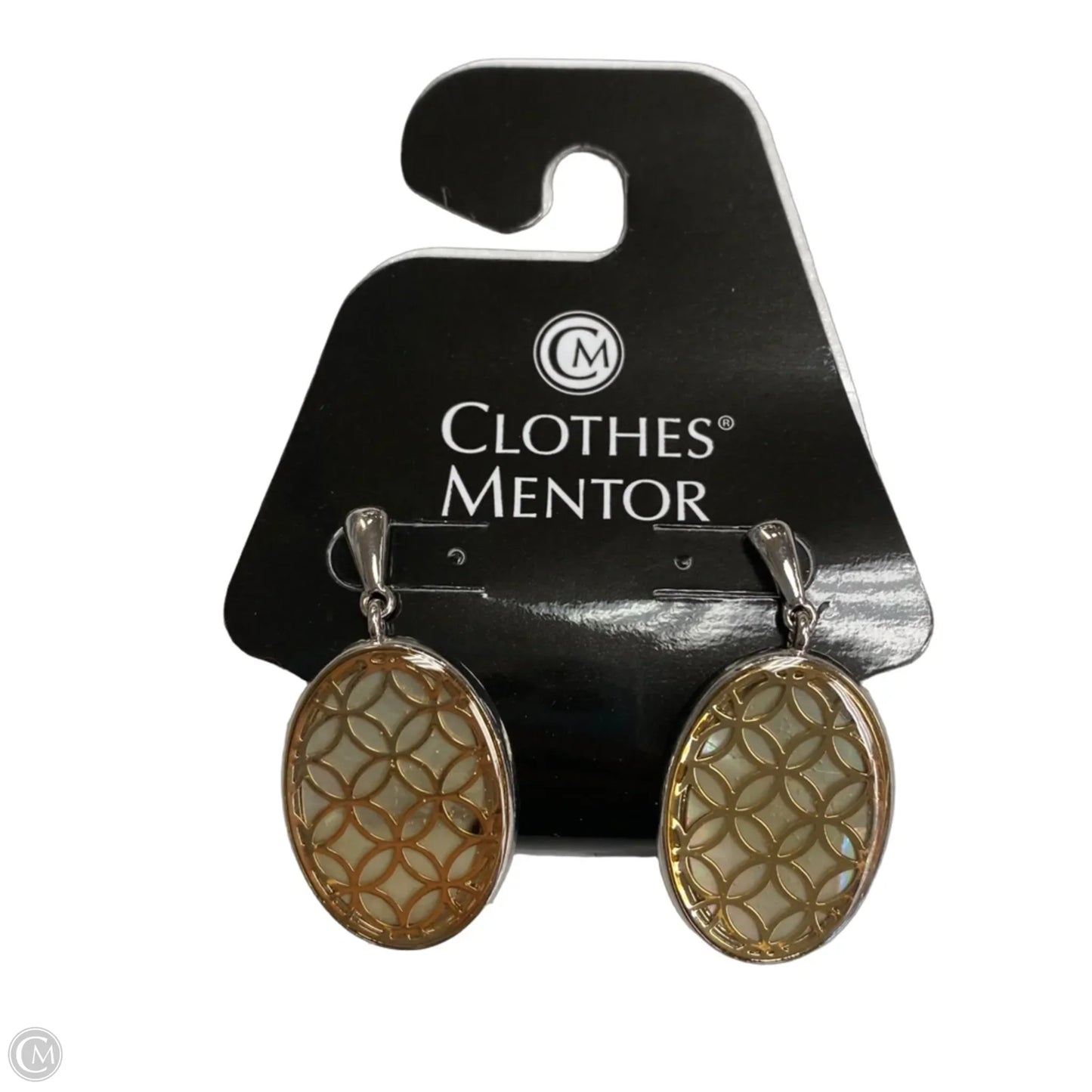 Earrings Dangle/drop By Ann Taylor