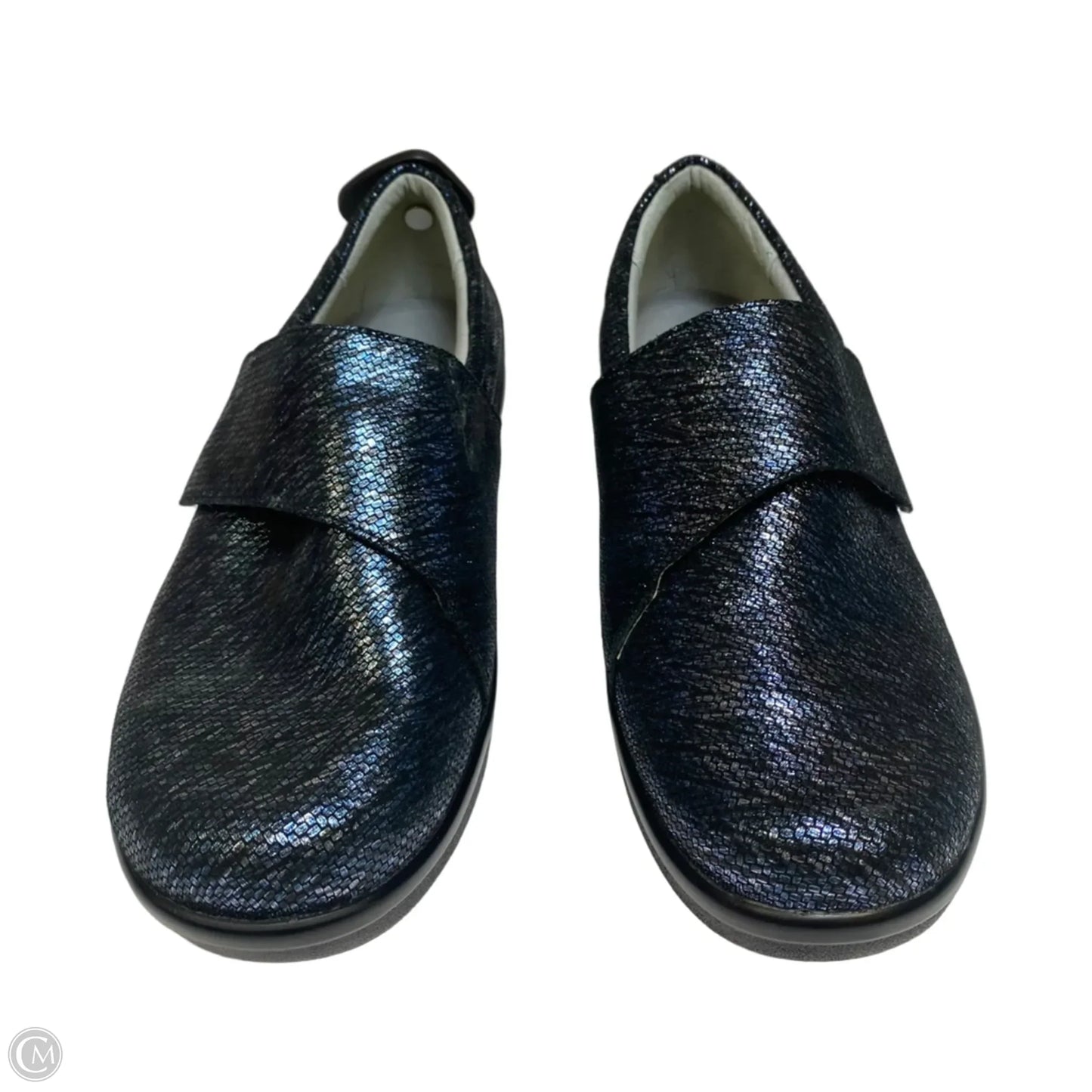 Shoes Flats By Alegria In Black & Blue, Size: 9.5