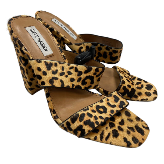 Sandals Heels Block By Steve Madden In Animal Print, Size: 9.5