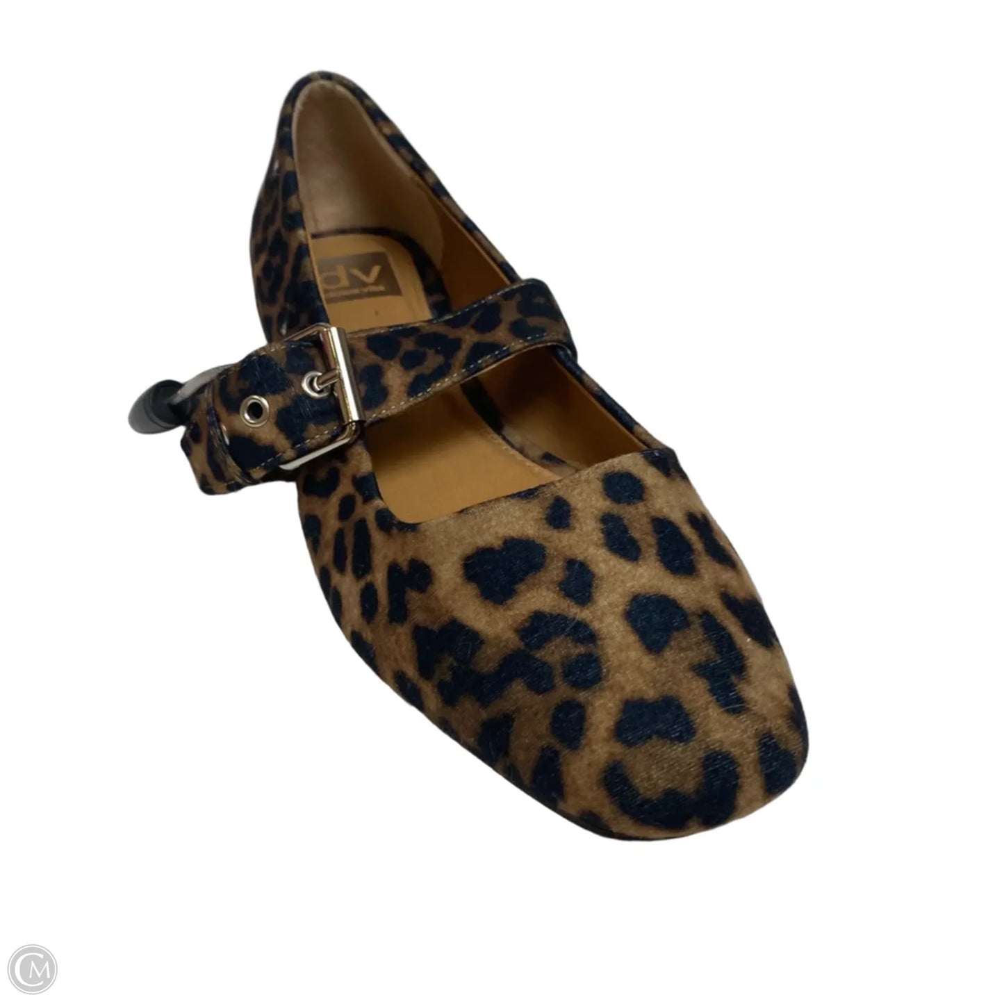 Shoes Flats By Dolce Vita In Animal Print, Size: 8.5