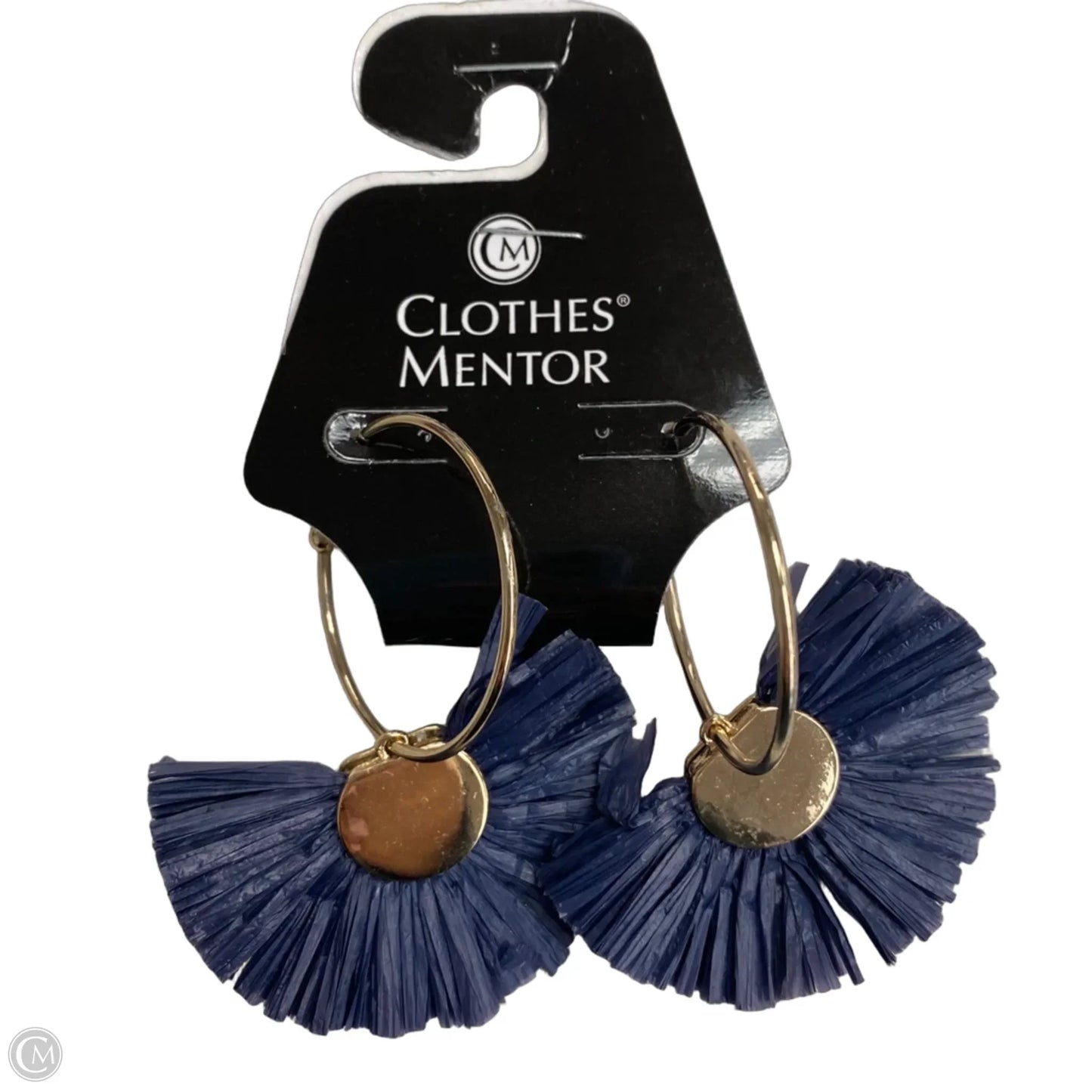Earrings Dangle/drop By Clothes Mentor