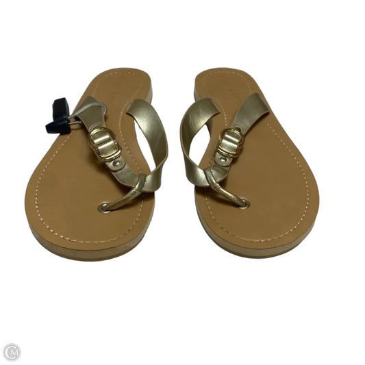 Sandals Flip Flops By Kelly And Katie In Gold, Size: 9