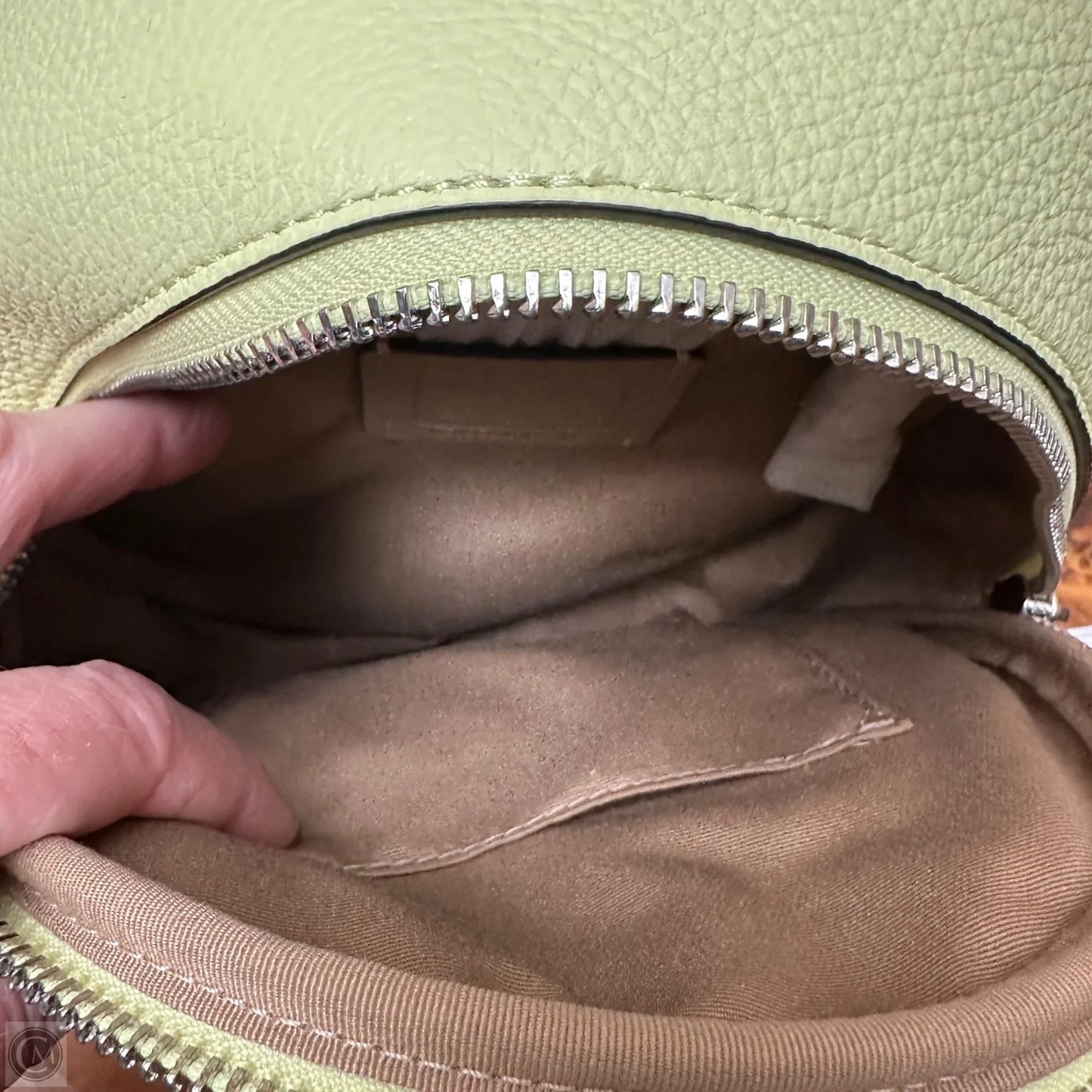 Backpack Designer By Coach, Size: Small