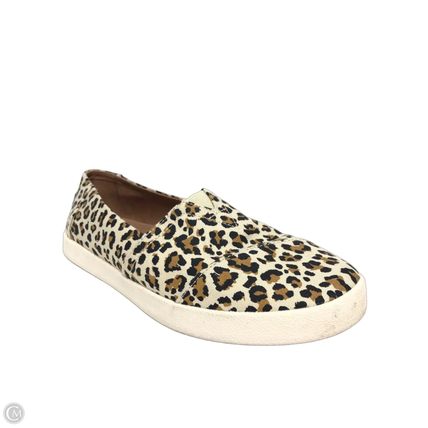 Shoes Sneakers By Toms In Leopard Print, Size: 8