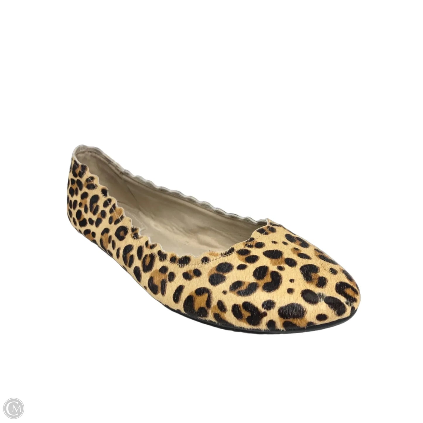 Shoes Flats By Kelly And Katie In Leopard Print, Size: 11