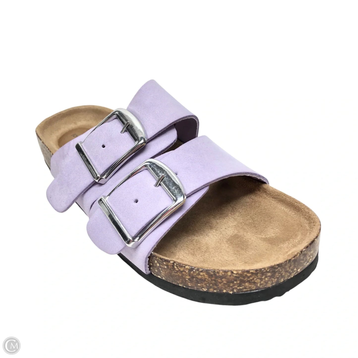 Sandals Flats By Time And Tru In Purple, Size: 6