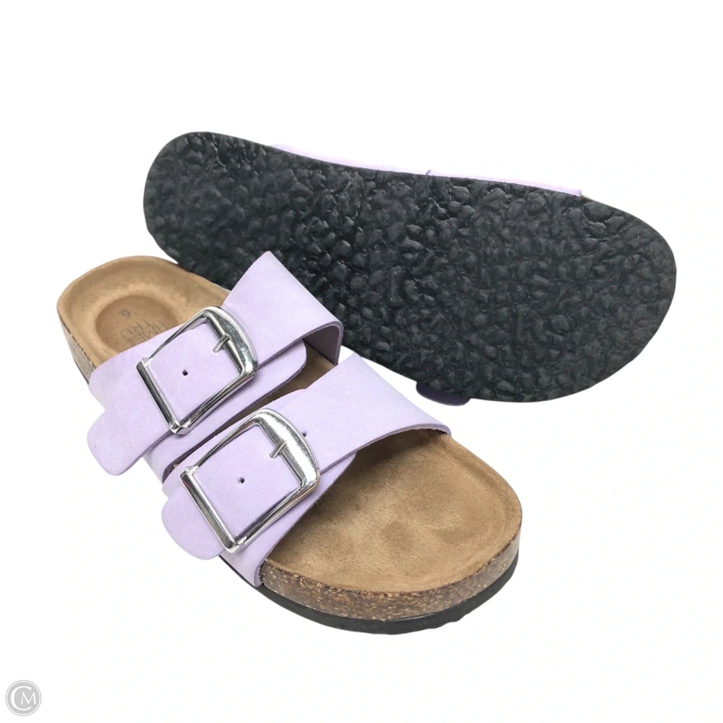 Sandals Flats By Time And Tru In Purple, Size: 6