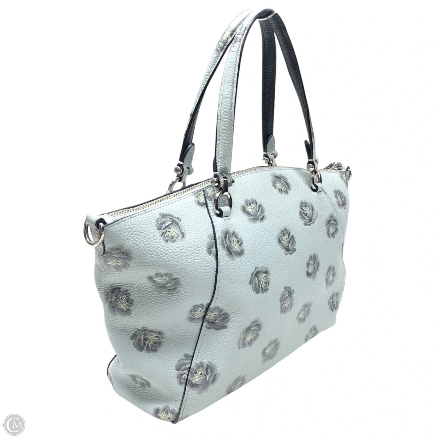 Crossbody Designer By Coach, Size: Small