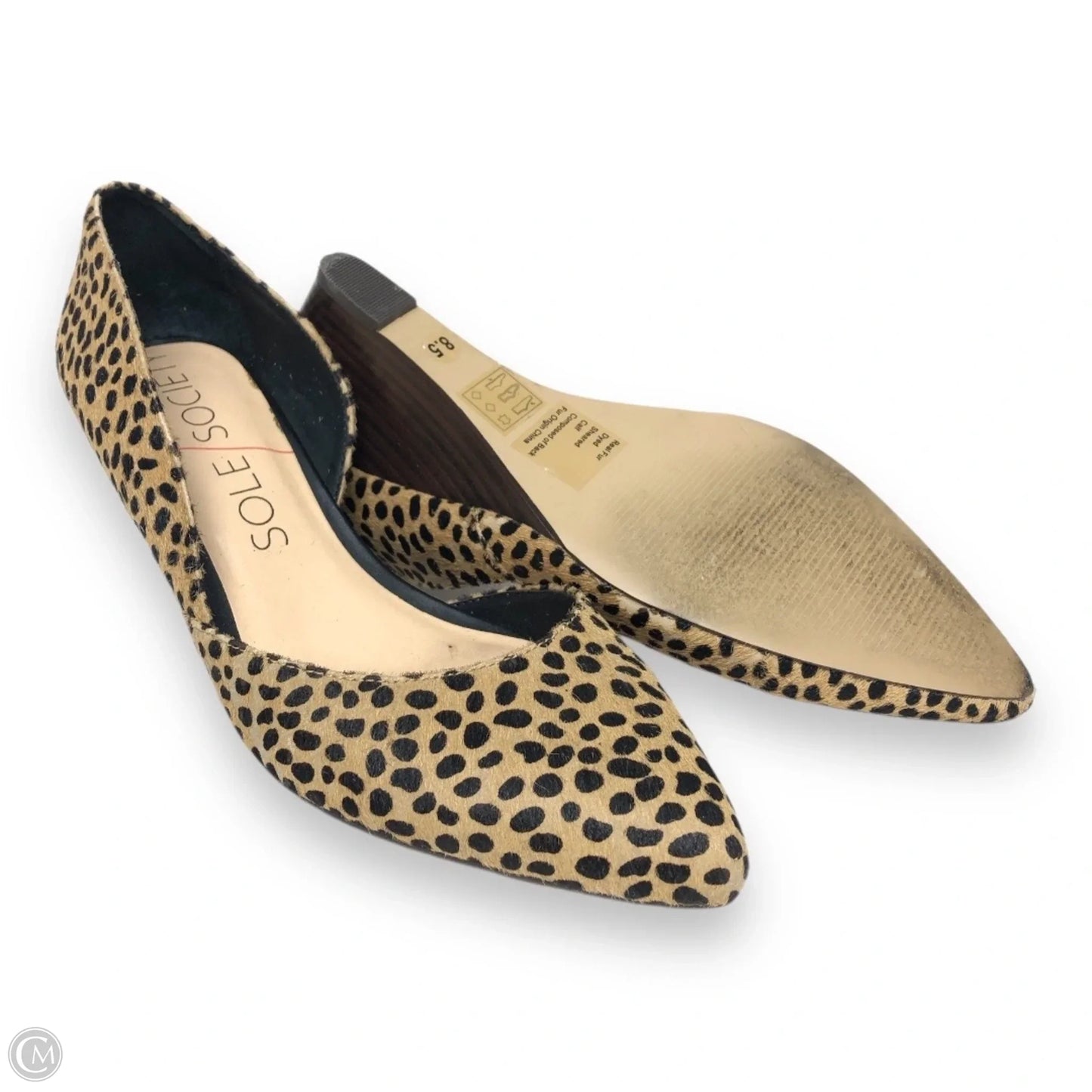Shoes Heels Wedge By Sole Society In Animal Print, Size: 8.5