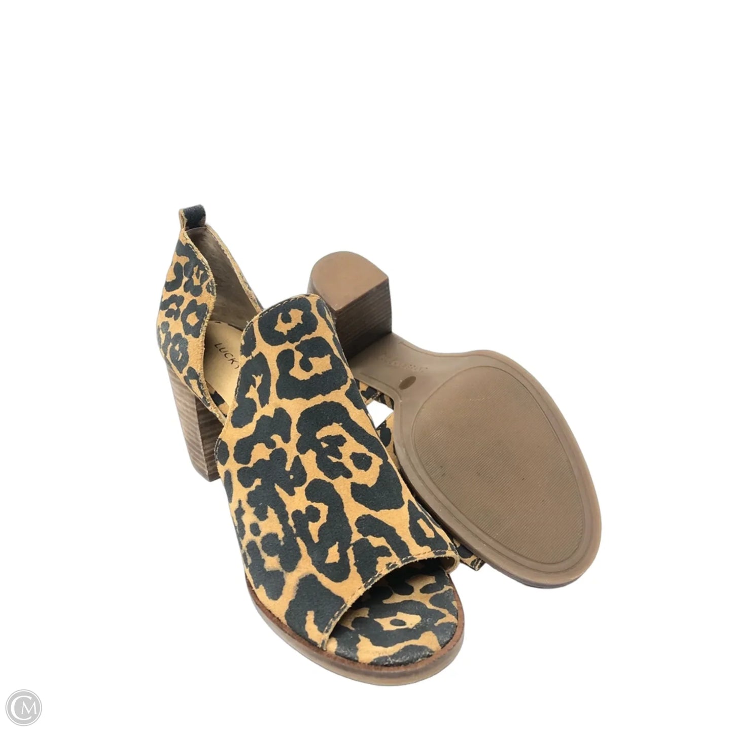 Shoes Heels Block By Lucky Brand In Animal Print, Size: 9.5