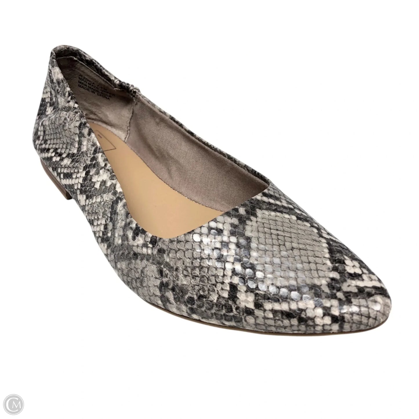 Shoes Flats By Kaari Blue In Snakeskin Print, Size: 7.5
