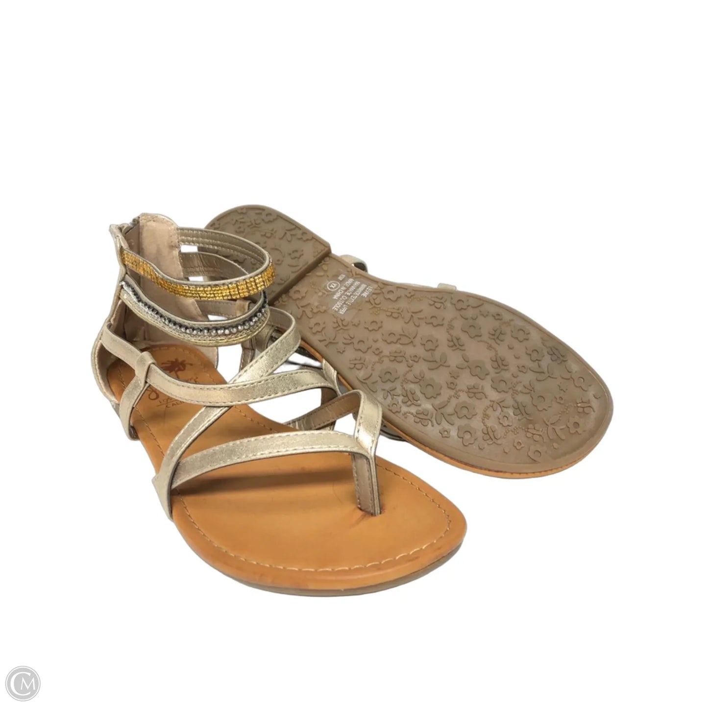 Sandals Flats By Jelly Pop In Bronze, Size: 10