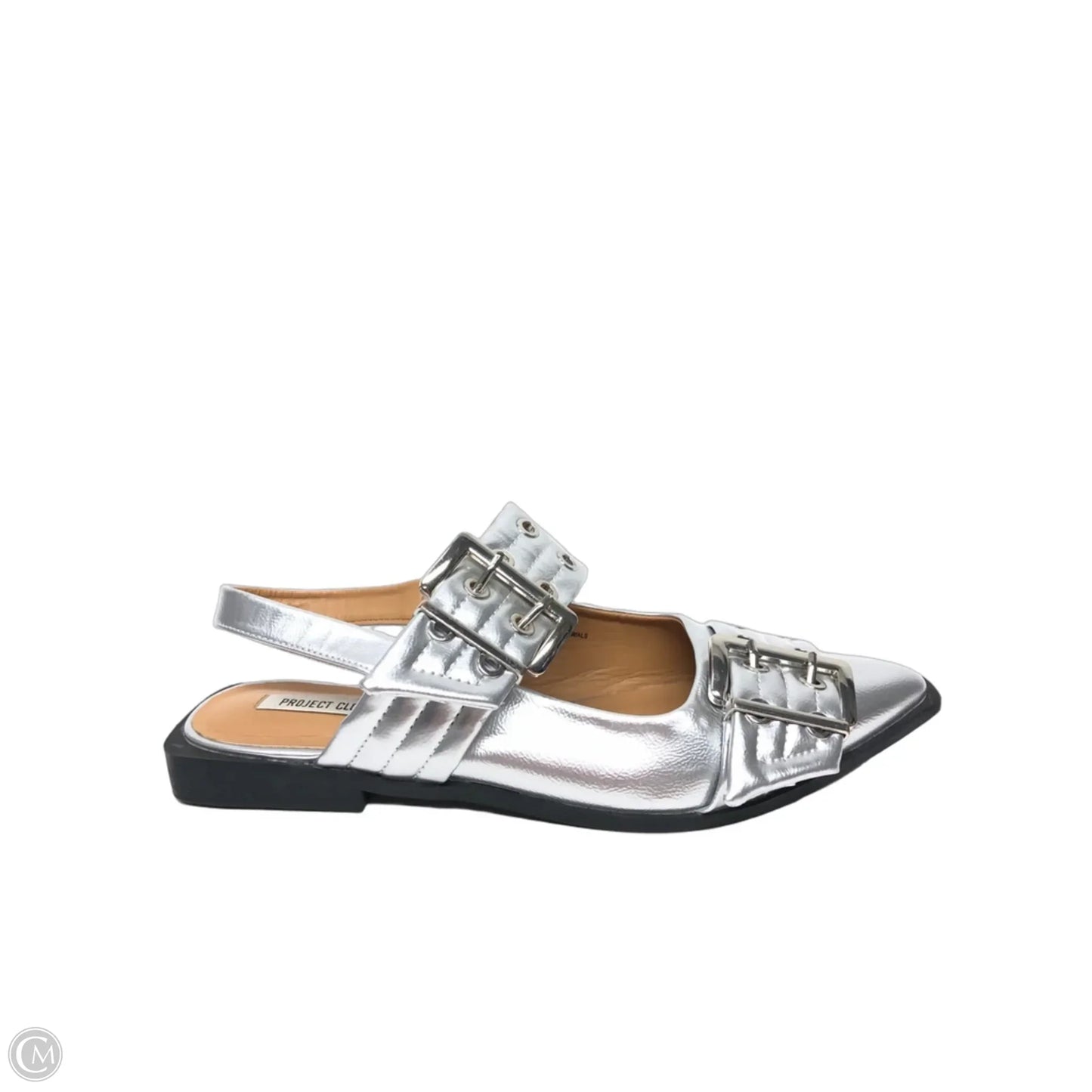Shoes Flats By Clothes Mentor In Silver, Size: 9