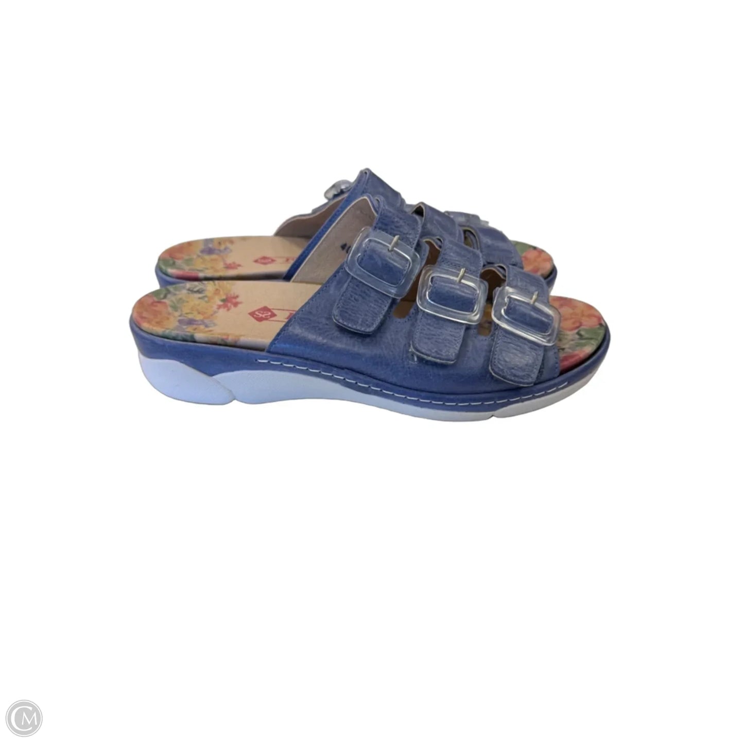 Sandals Flats By Clothes Mentor In Blue, Size: 9.5