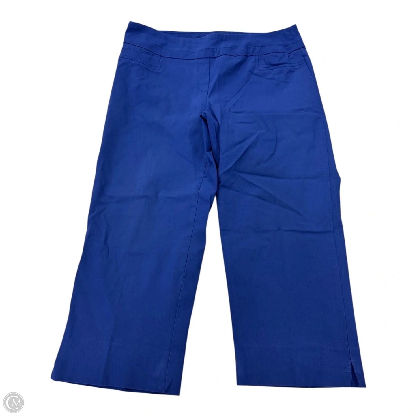 Capris By Zac And Rachel In Blue, Size: 12