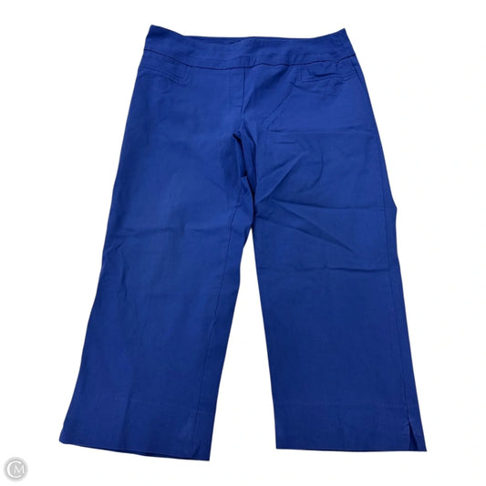 Capris By Zac And Rachel In Blue, Size: 12