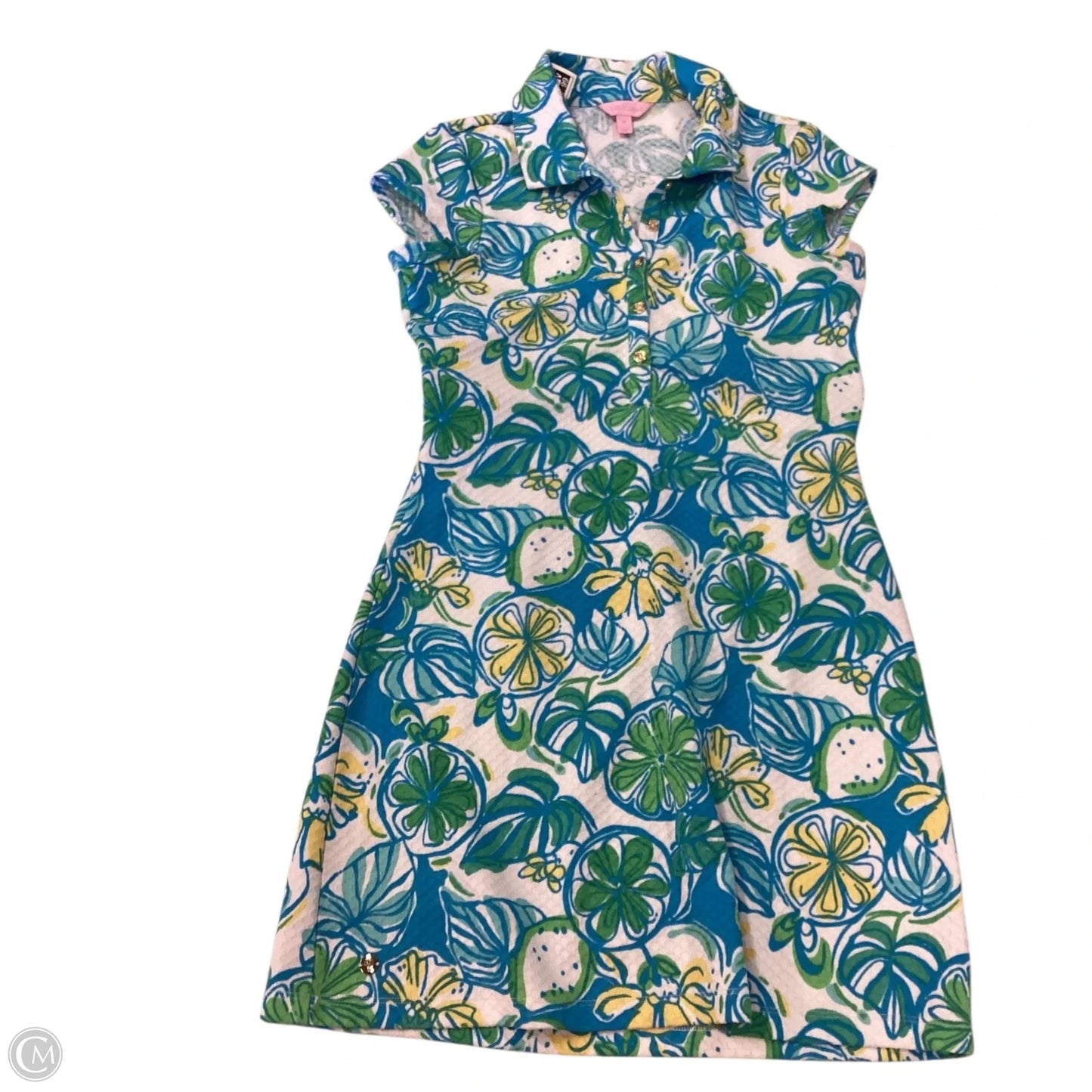 Dress Designer By Lilly Pulitzer In Blue & Green, Size: M