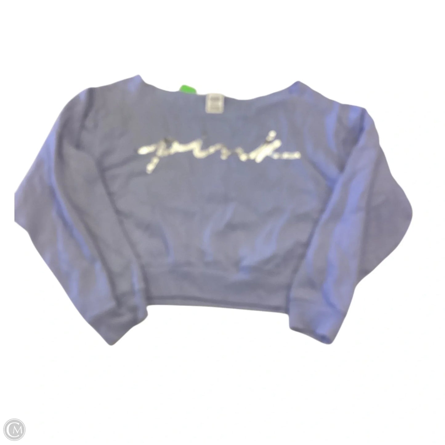Sweatshirt Crewneck By Pink In Blue & Silver, Size: Xl