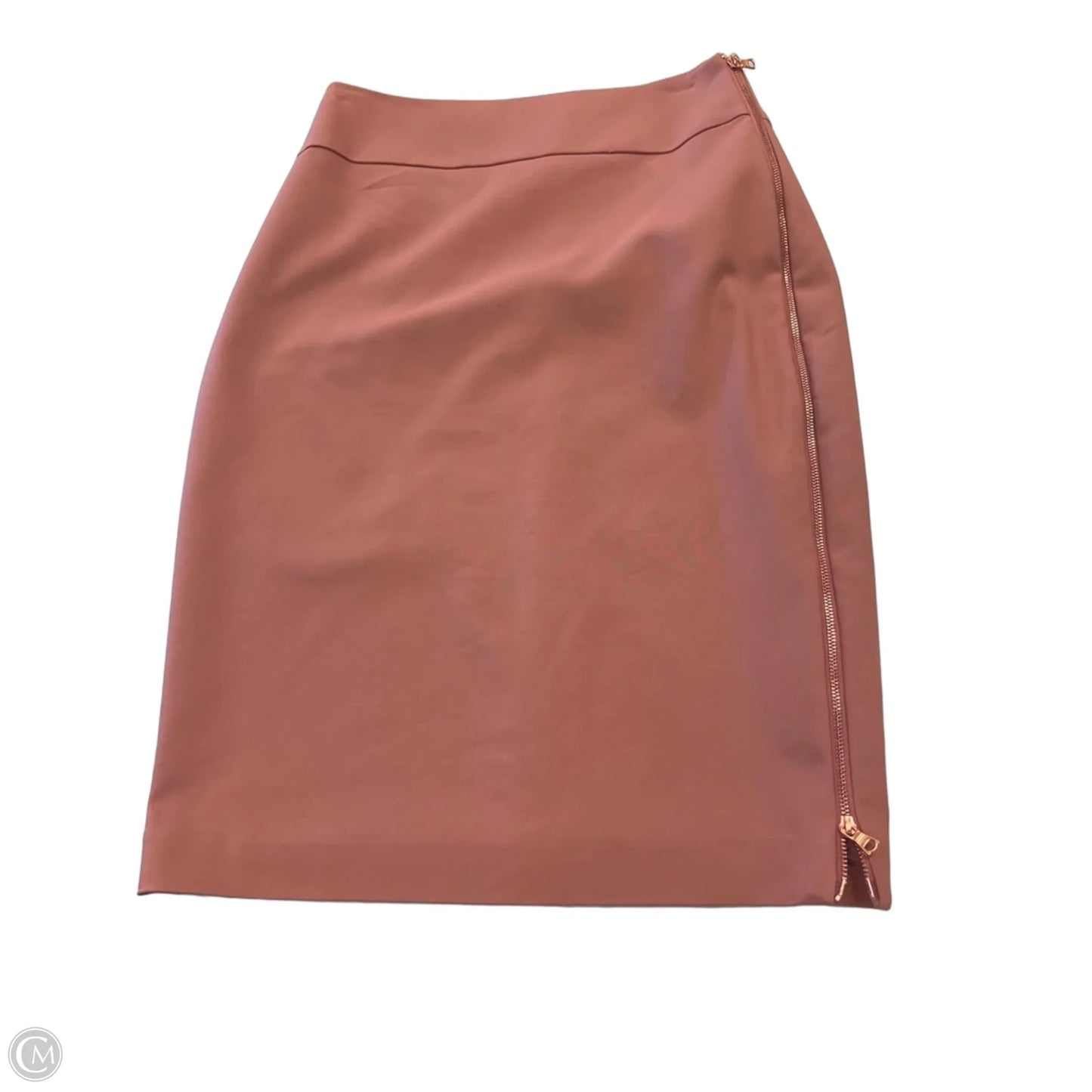 Skirt Midi By Express In Pink, Size: S