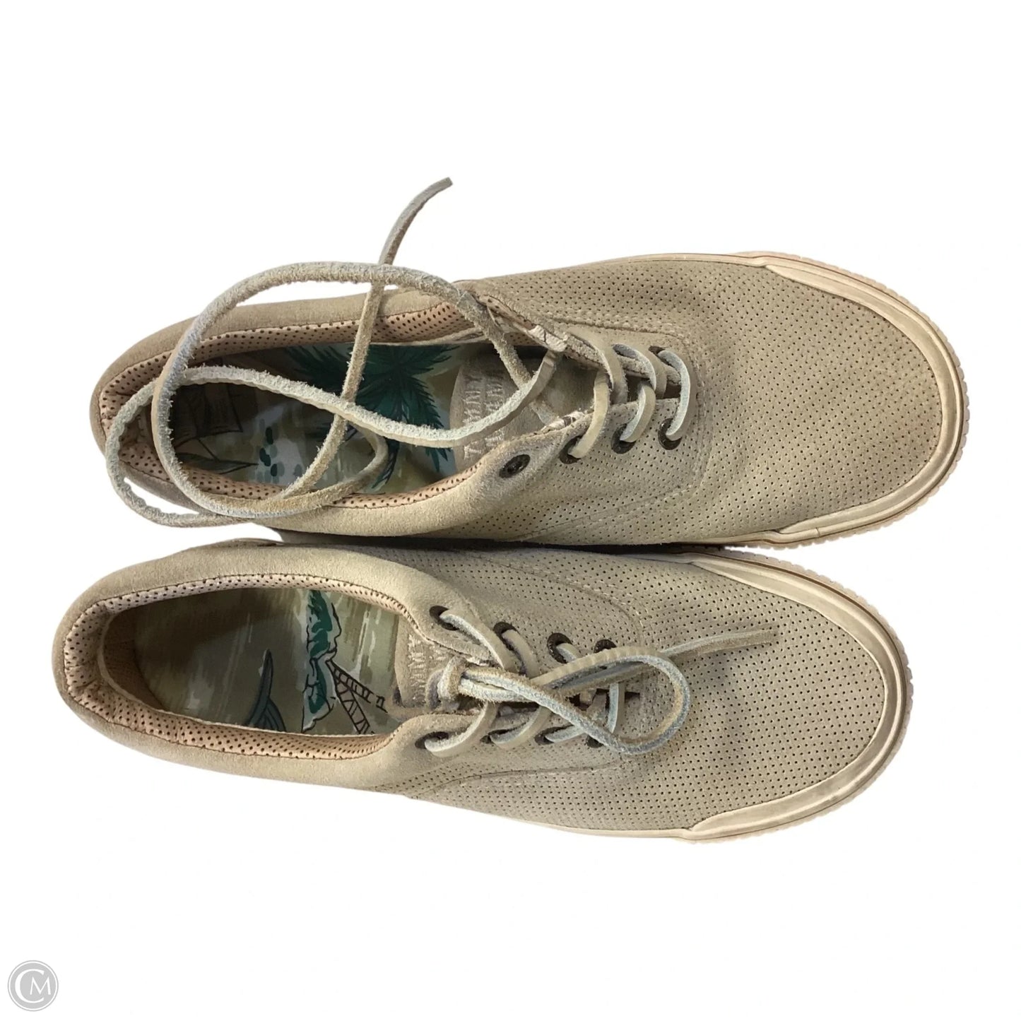 Shoes Sneakers By Tommy Bahama In Tan, Size: 9