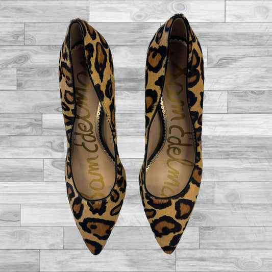 Shoes Heels Stiletto By Sam Edelman In Animal Print, Size: 10