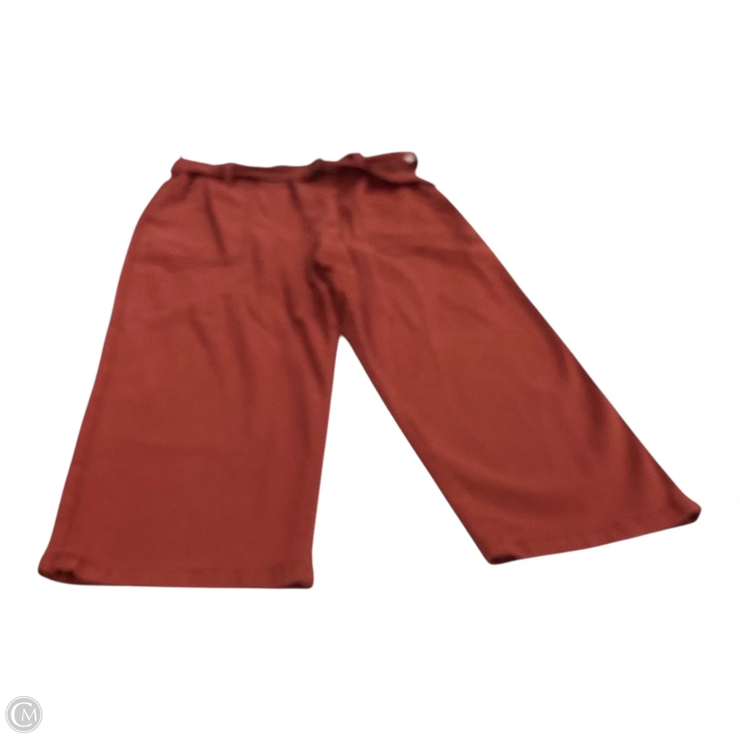 Pants Other By Time And Tru In Orange, Size: 16