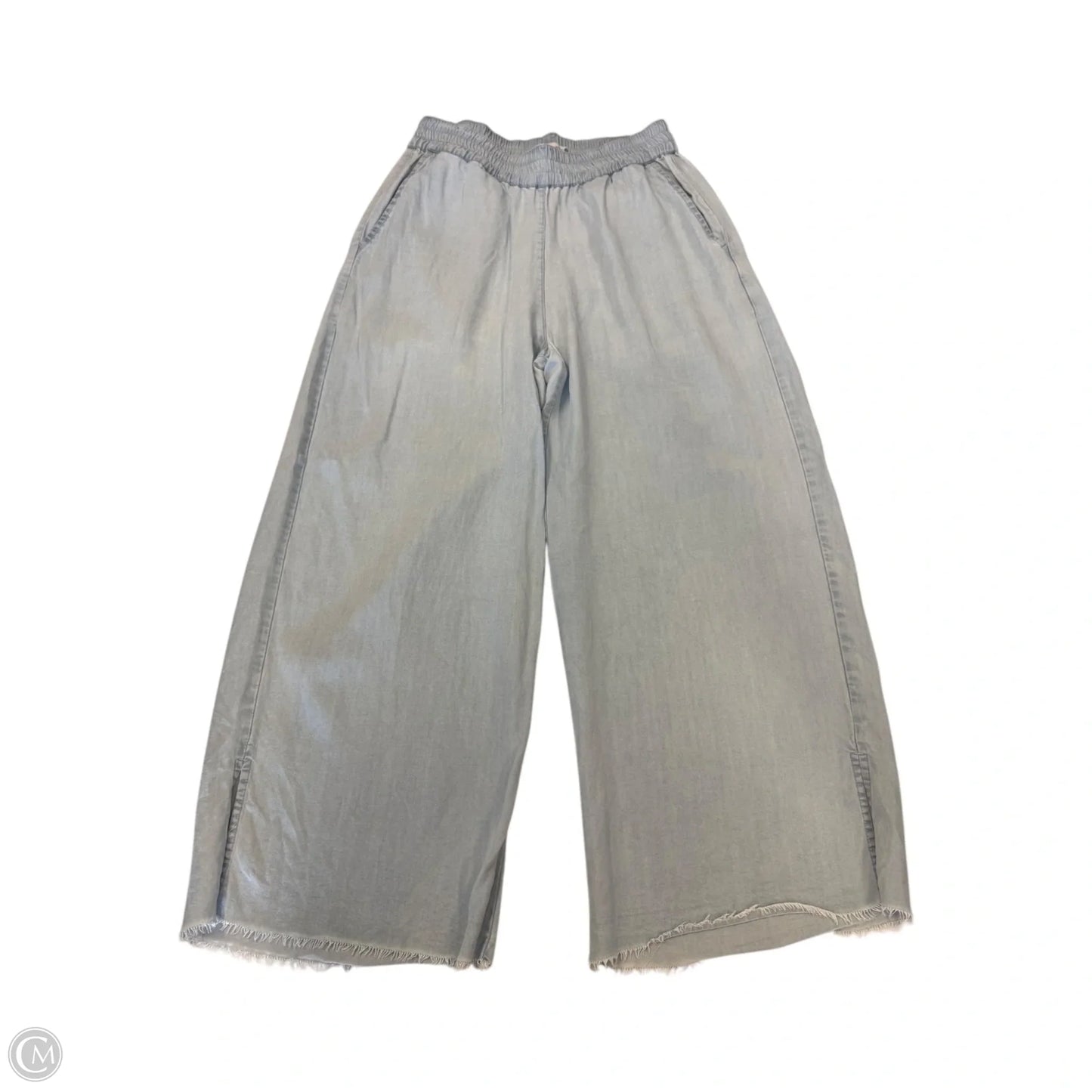 Pants Other By Carve Designs In Blue, Size: S