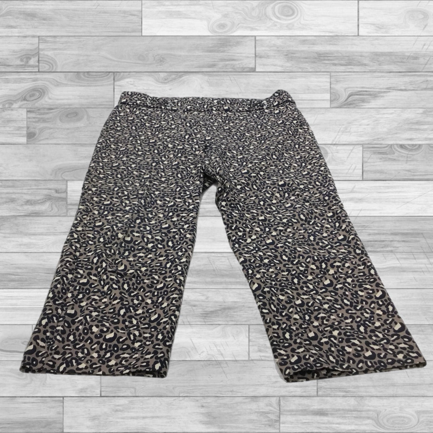 Pants Chinos & Khakis By Rafaella In Animal Print, Size: 12