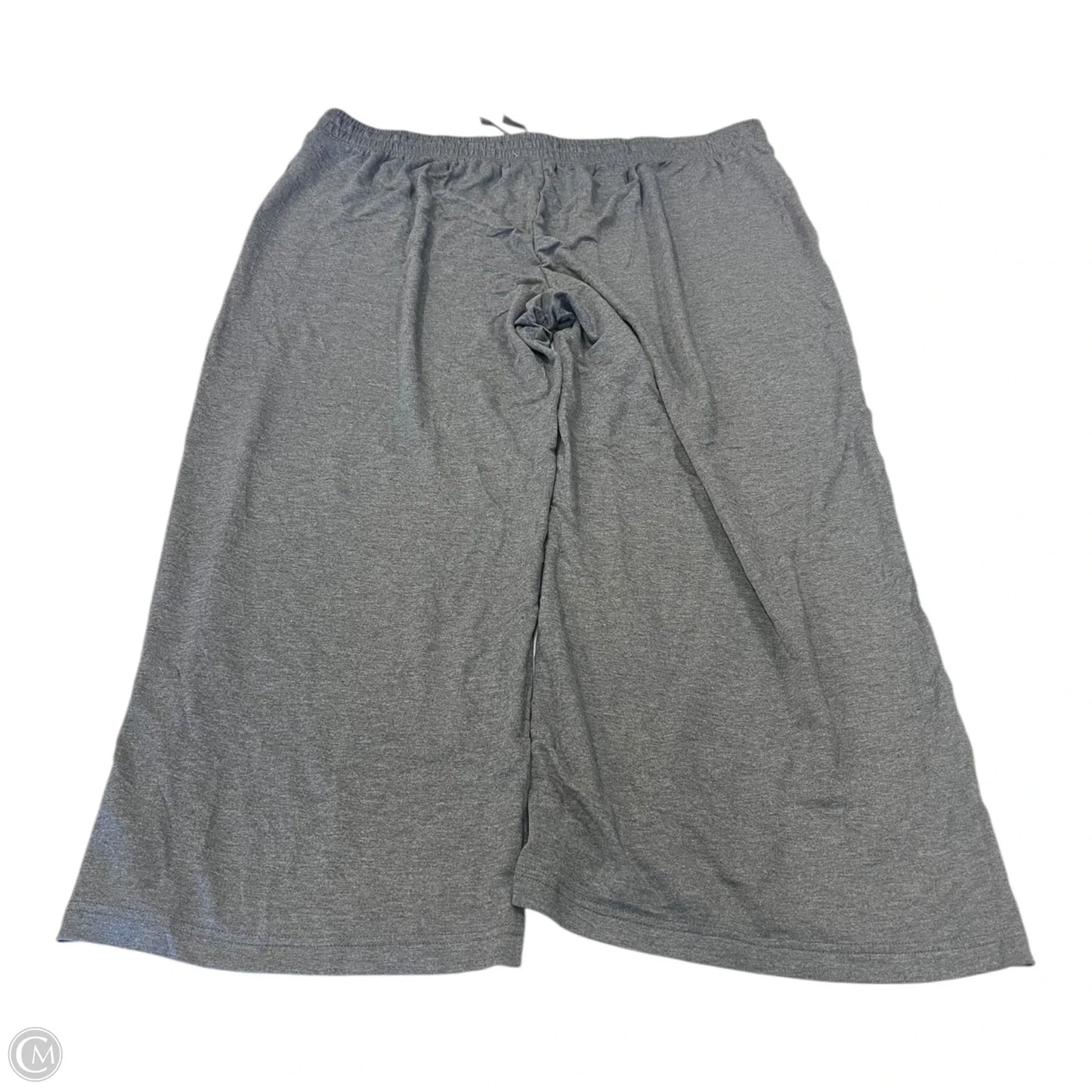 Pants Cargo & Utility By Terra & Sky In Grey, Size: 3x