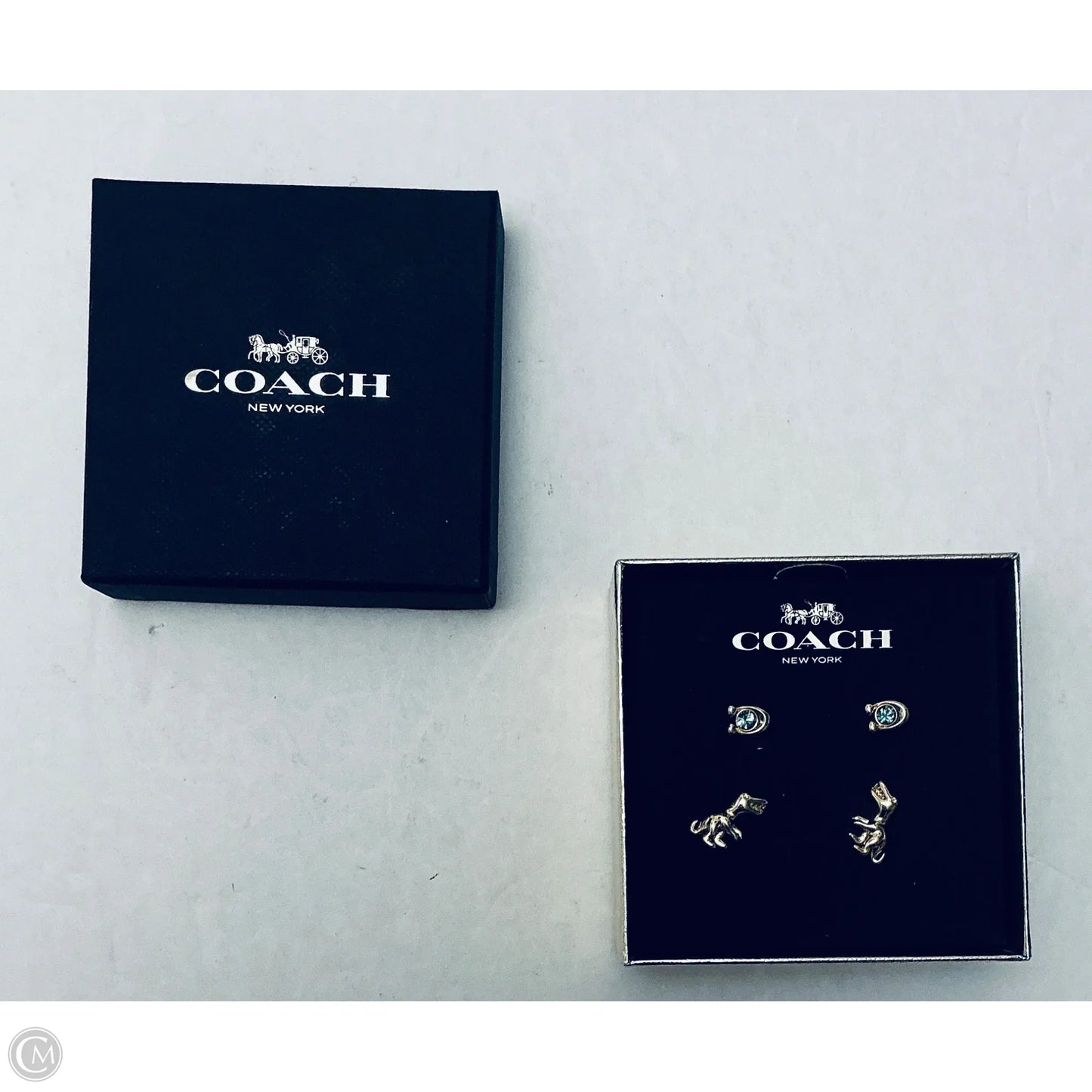 Earrings Designer By Coach, Size: 02 Piece Set