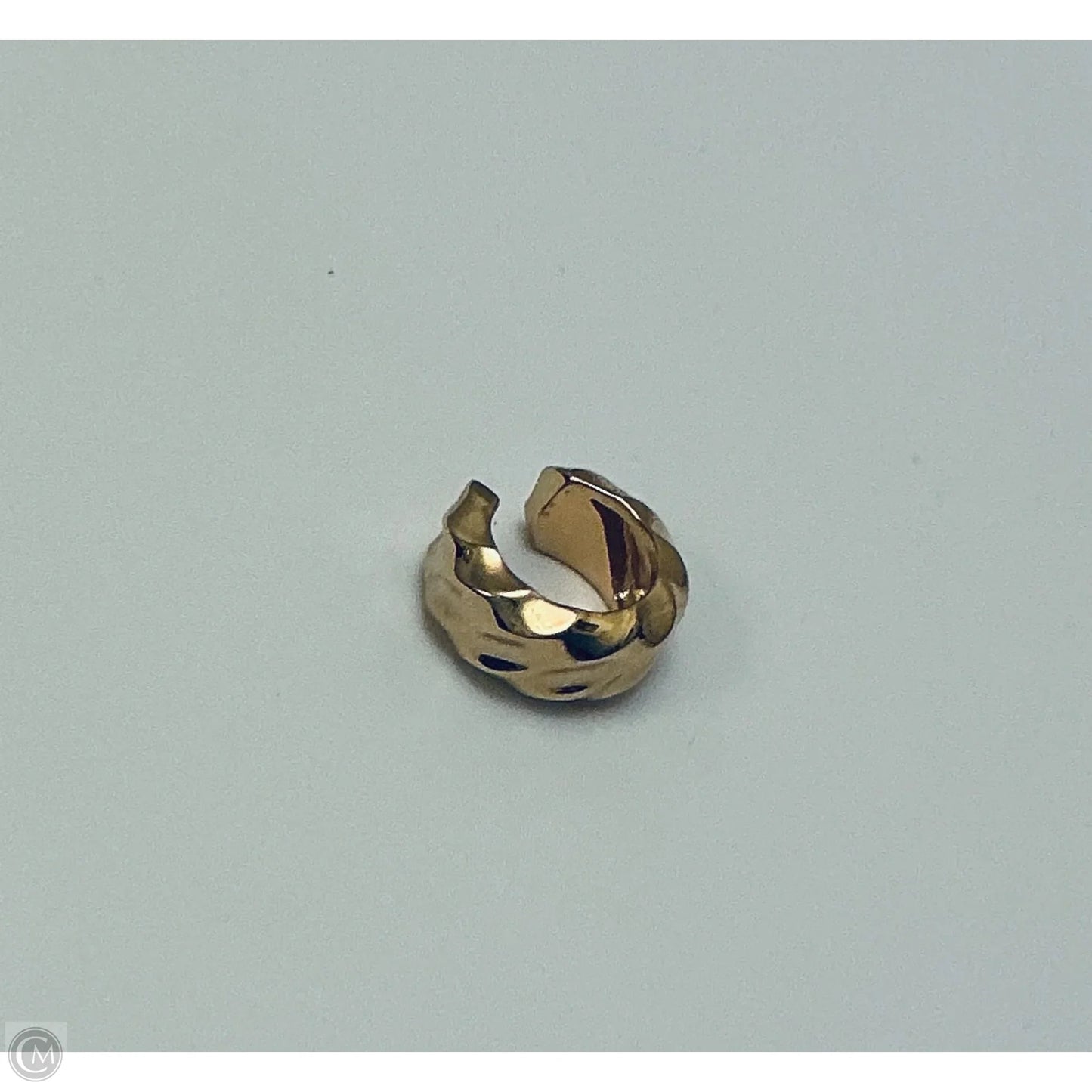 Earrings Other By Pandora