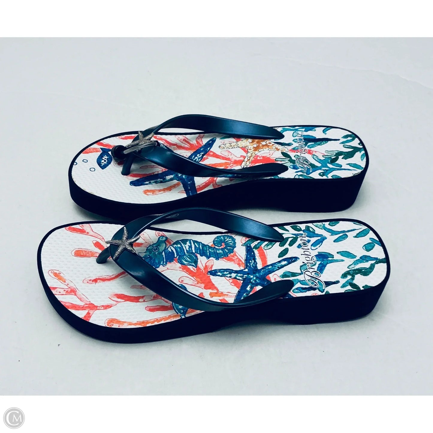 Sandals Flip Flops By Brighton In Blue, Size: 9
