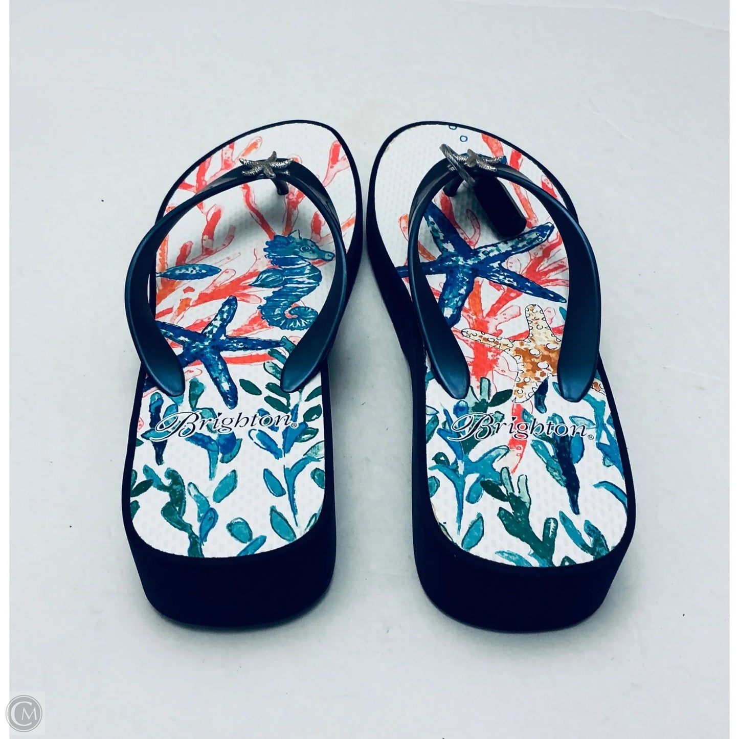Sandals Flip Flops By Brighton In Blue, Size: 9