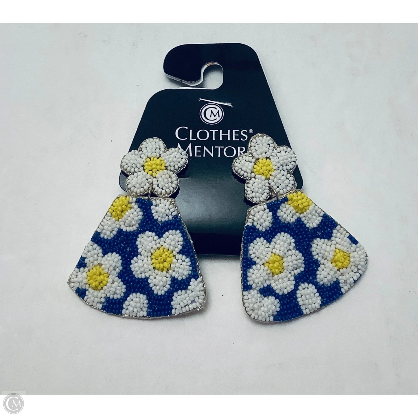 Earrings Dangle/drop By Clothes Mentor