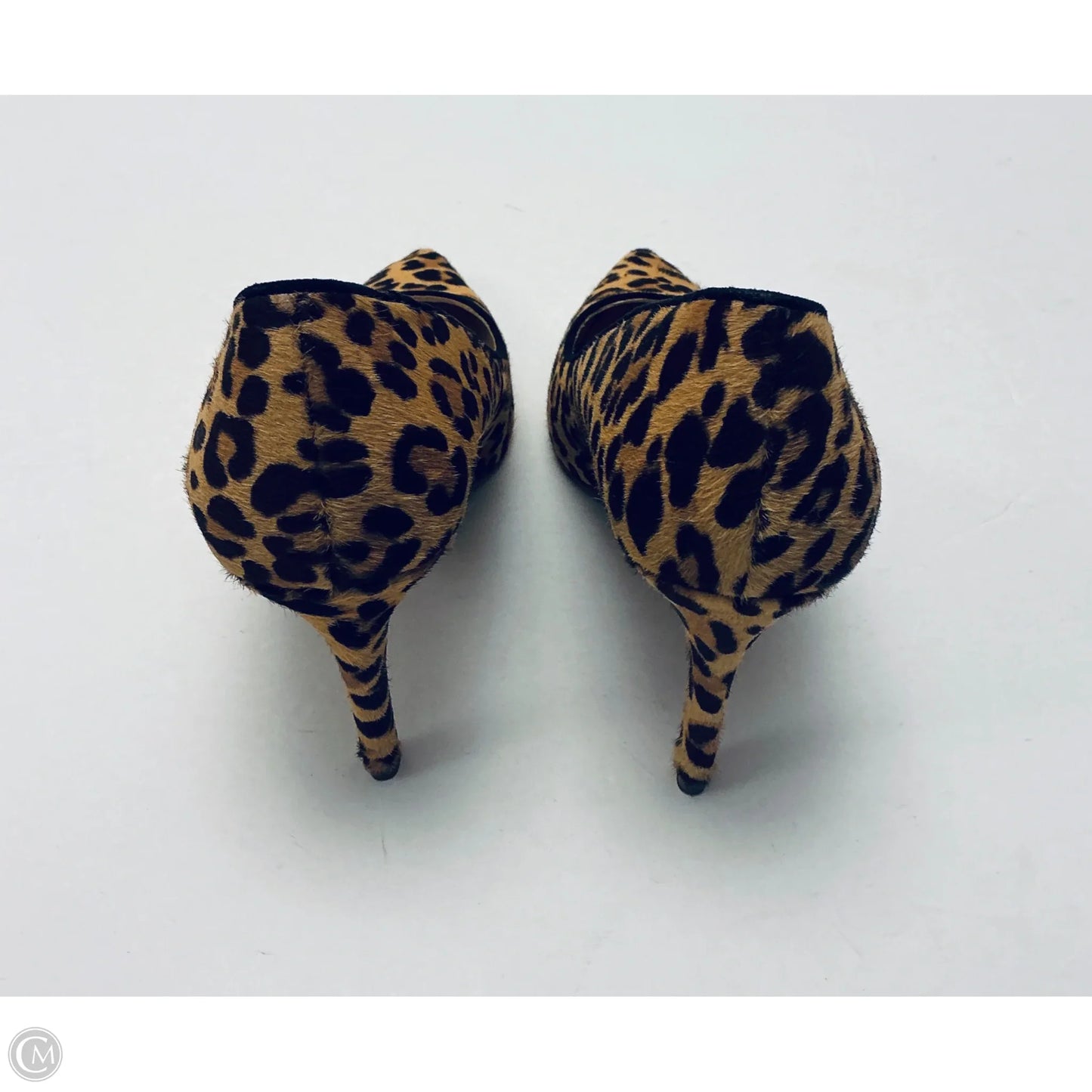 Shoes Heels Stiletto By Jessica Simpson In Animal Print, Size: 9