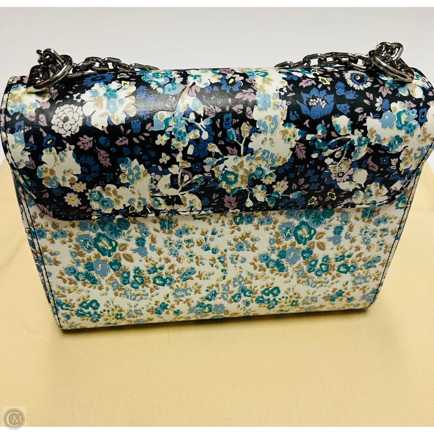 Handbag Luxury Designer By Louis Vuitton