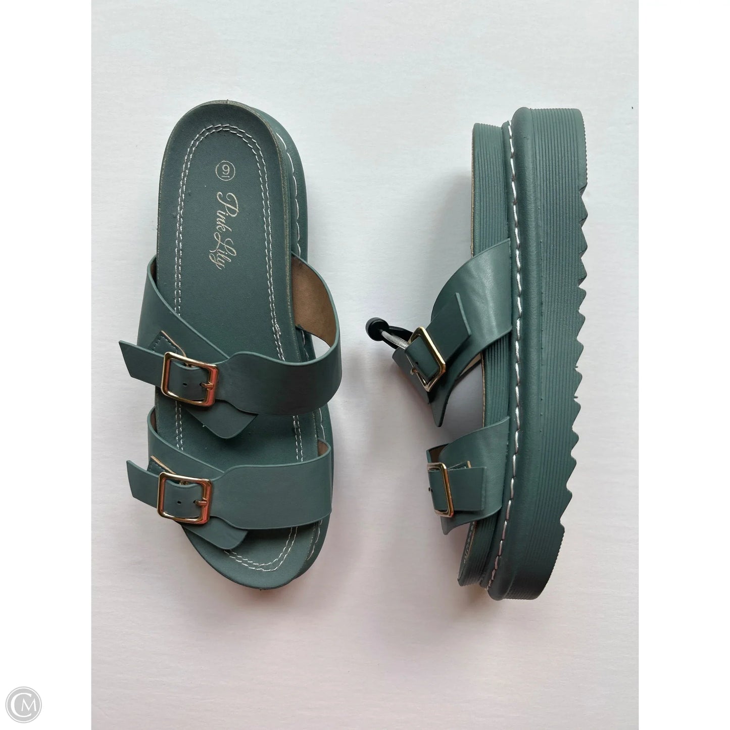 Sandals Heels Platform By Pink Lily In Teal, Size: 9