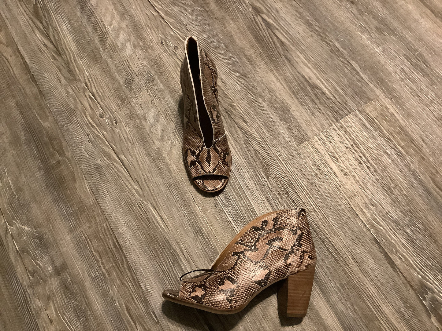 Boots Ankle Heels By Lucky Brand In Snakeskin Print, Size: 6.5