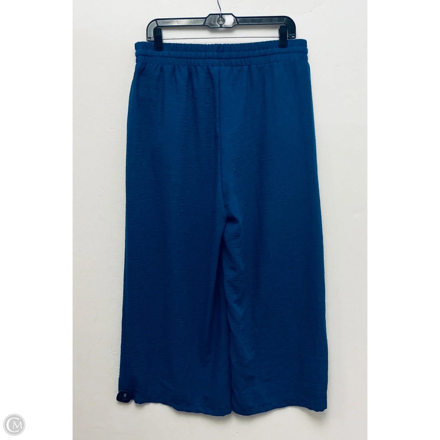Pants Linen By Zenana In Blue, Size: 1x