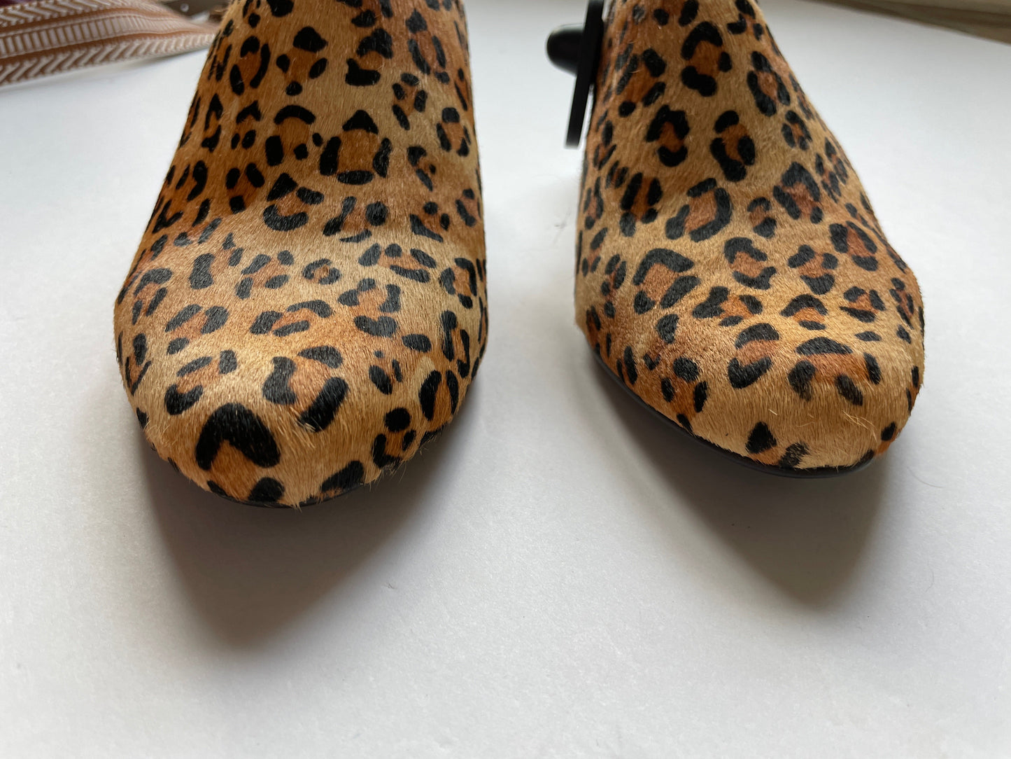 Animal Print Shoes Heels Block Very Volatile, Size 9