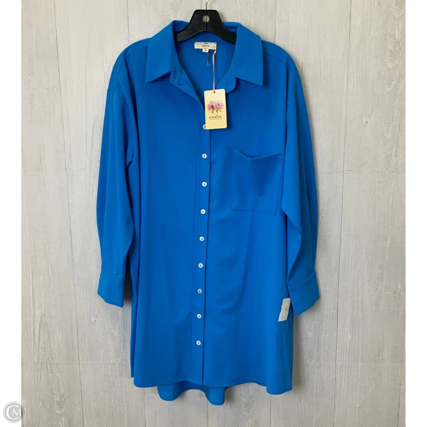 Blouse Long Sleeve By Entro In Blue, Size: M
