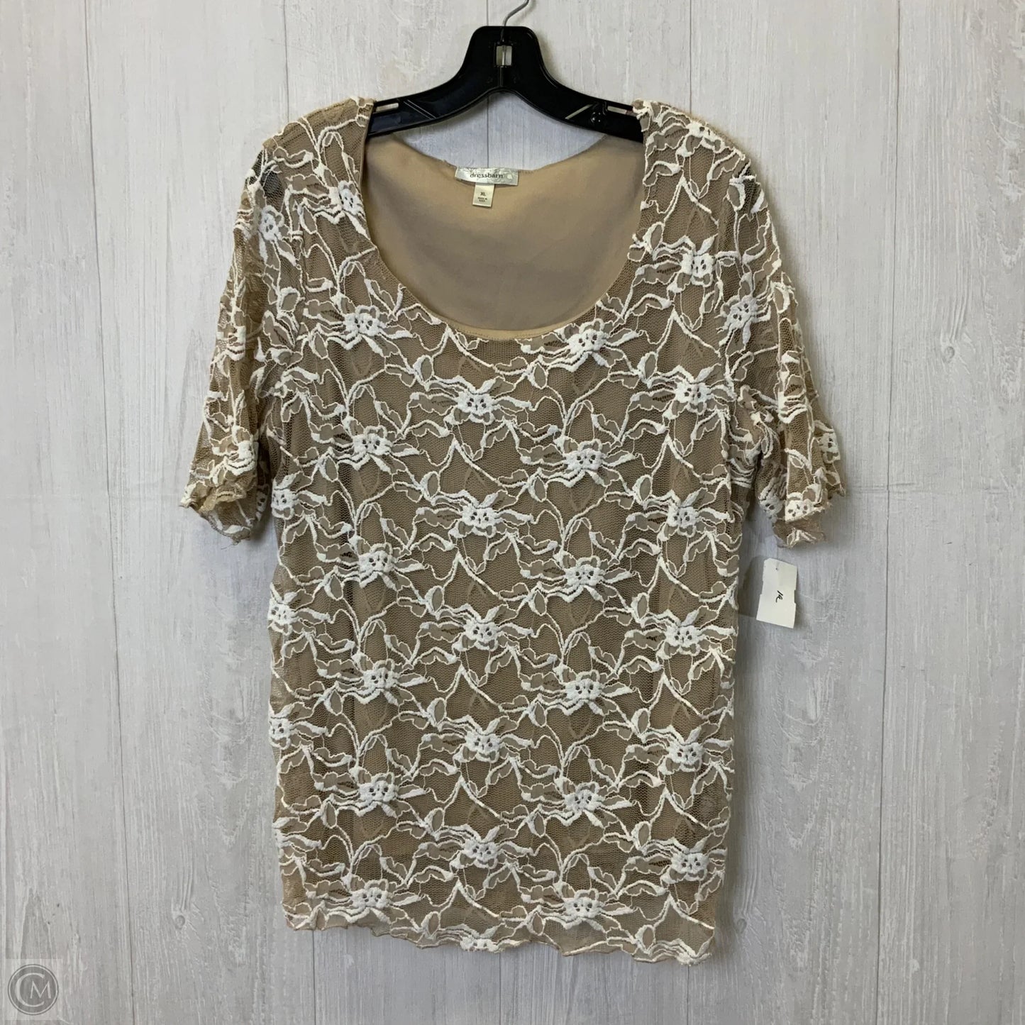 Tunic Short Sleeve By Dressbarn In Tan & White, Size: Xl