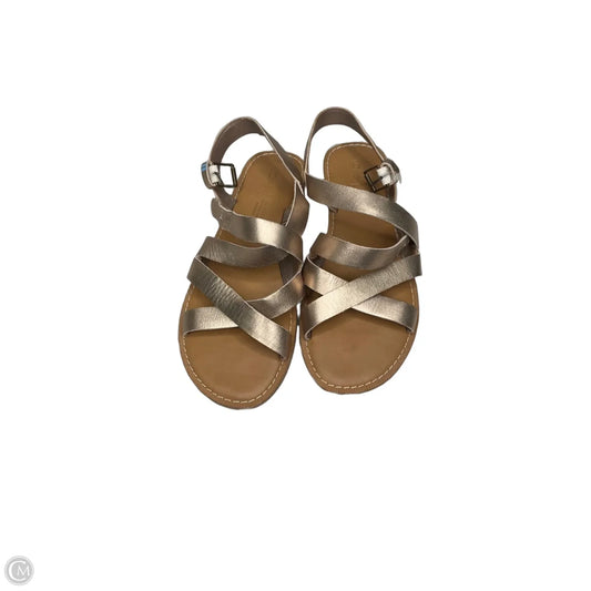 Sandals Flats By Toms In Gold, Size: 8