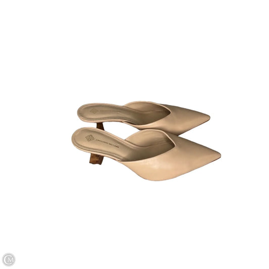 Shoes Heels Kitten By Antonio Melani In Beige, Size: 10